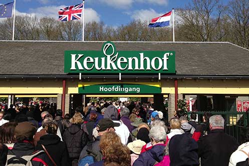 Getting in to Keukenhof